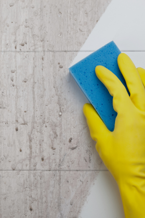 Hazard & Hygiene Remediation